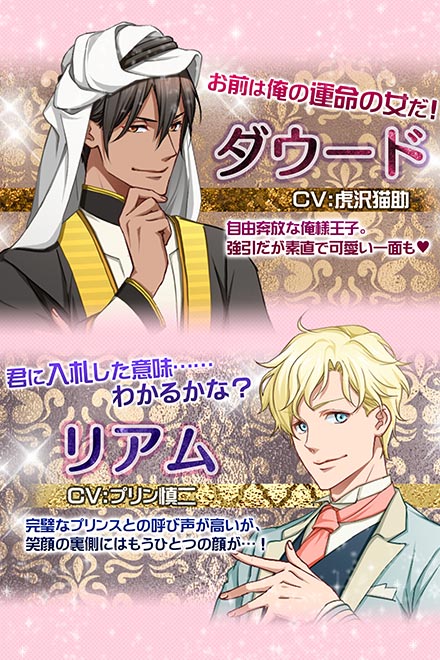 18禁乙女ゲーム30歳処女画像
