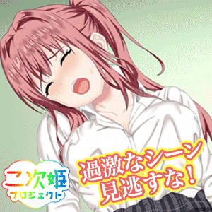 二次姫プロジェクト画像
